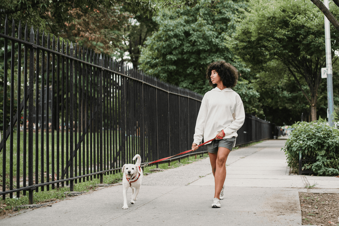 7 Fun & Effective Ways to Escape the Sedentary Lifestyle Trap - Core Fitness House