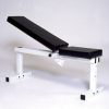 Pro Series 205 FI White Flat Adjustable Incline Bench Press