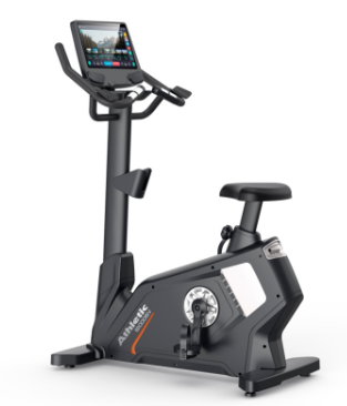 PROFESSIONAL UPRIGHT BIKE 5900BVP TFT