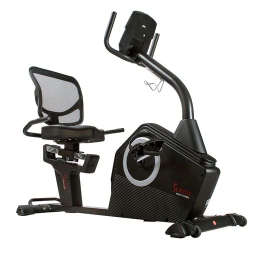 Programmable Recumbent Bike