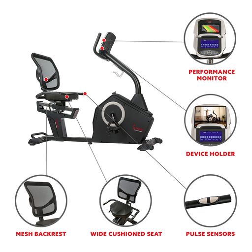 Programmable Recumbent Bike