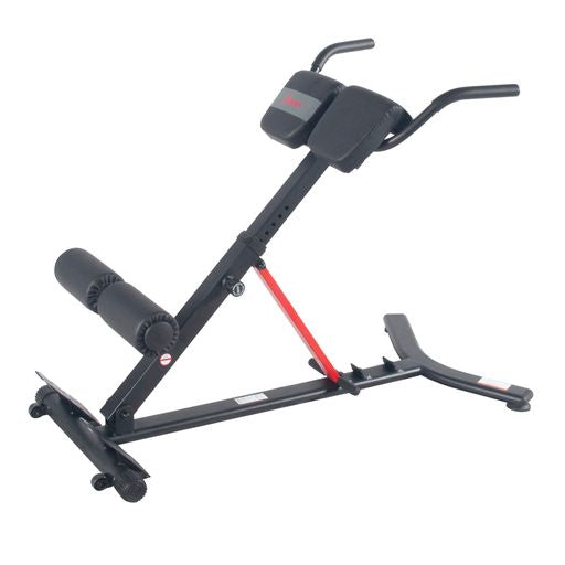 Hyperextension Roman Chair with Dip Station