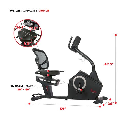 Programmable Recumbent Bike